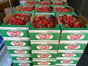 Stacked crates of fresh, northwest strawberries