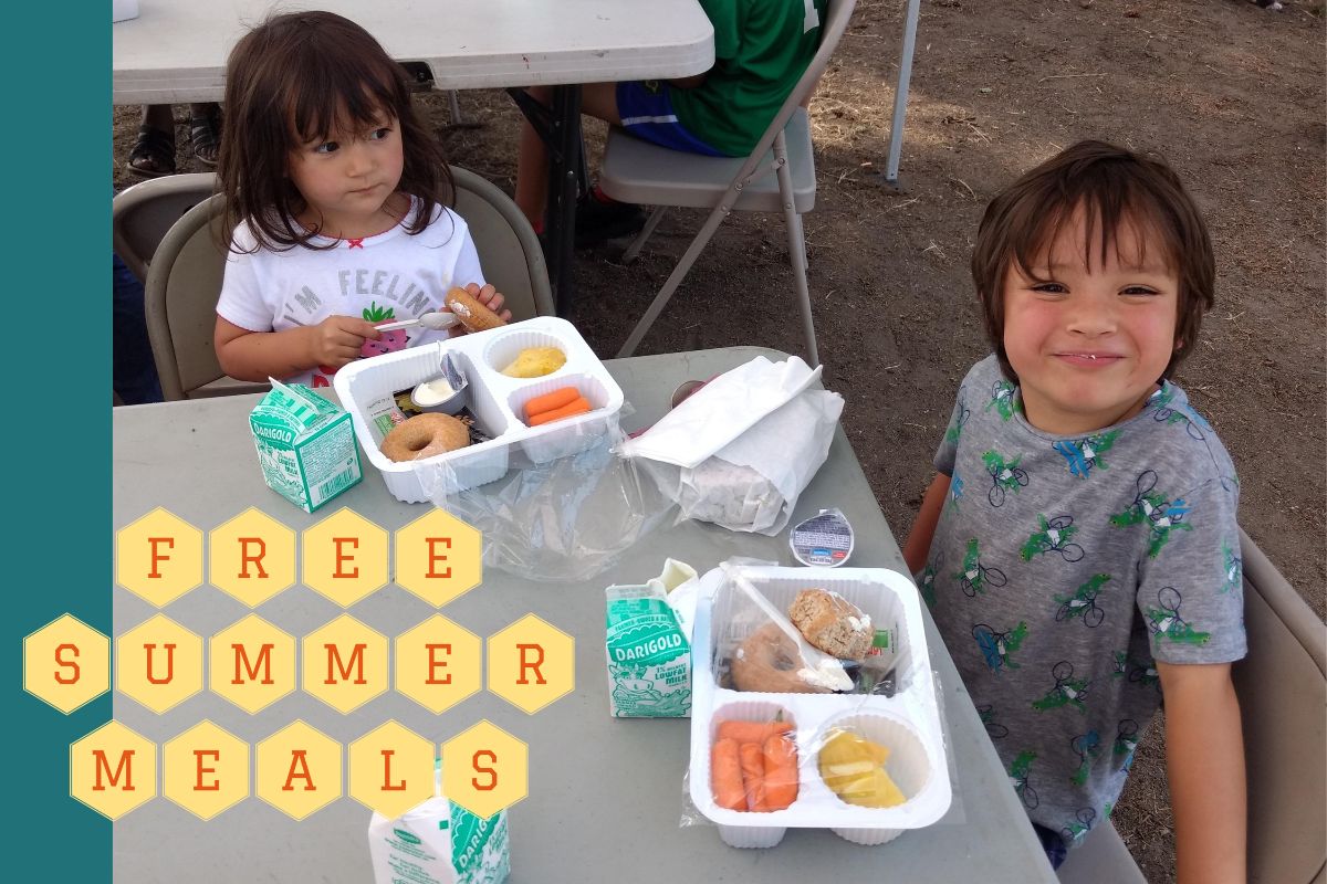 Two smiling young children eating their summer meal boxes outside with the words FREE SUMMER MEALS added across the image
